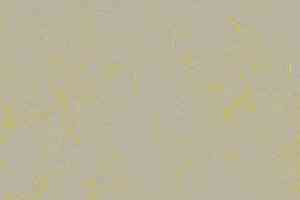 Линолеум Forbo Marmoleum Decibel on Order 373335 yellow shimmer фото  | FLOORDEALER